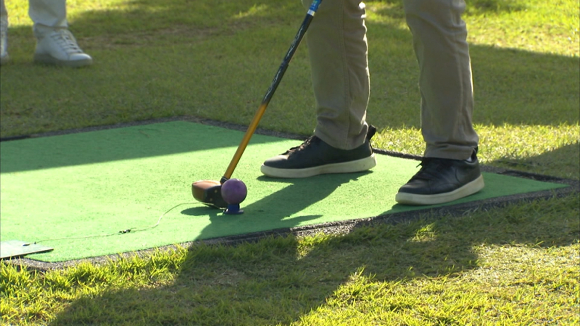 파세지아타 하이브리드